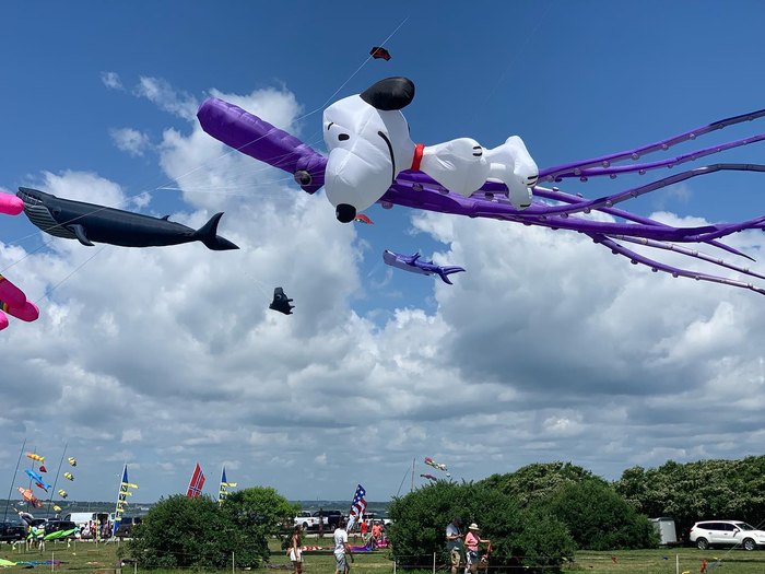 The Newport Kite Festival Is A Colorful Celebration You Can't Miss